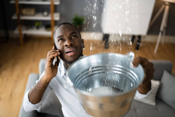 Best Flood restoration services  in Elizabethton, TN