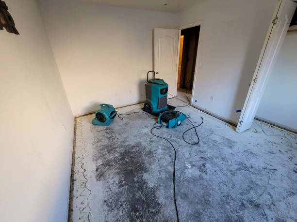 Best Carpet water damage restoration  in Elizabethton, TN