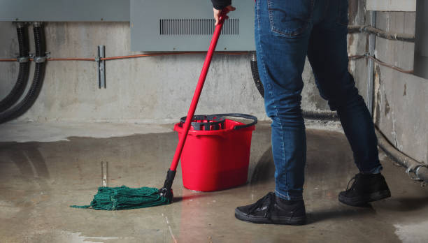 Best Local water damage restoration  in Elizabethton, TN