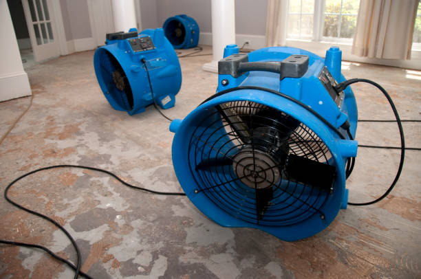 Best Emergency water damage restoration  in Elizabethton, TN