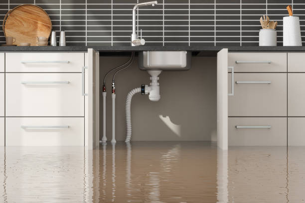 Best Basement water damage restoration  in Elizabethton, TN